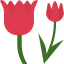 Tulip icon 64x64