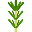 Rosemary Symbol 64x64