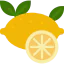 Lemon Symbol 64x64