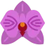 Orchid Symbol 64x64