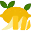 Lemon Symbol 64x64