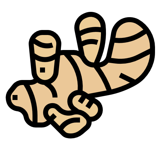 Ginger icon
