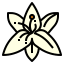 Lily Symbol 64x64