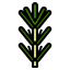 Rosemary Symbol 64x64