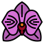 Orchid Symbol 64x64