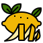 Lemon Symbol 64x64