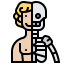 Physiology icon 64x64