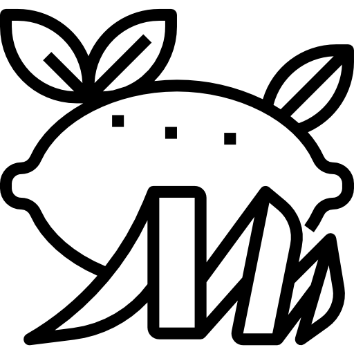 Lemon icon