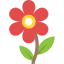 Flower icon 64x64