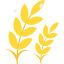 Wheat icon 64x64