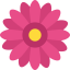 Flower icon 64x64