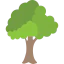 Tree icon 64x64