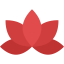 Lotus icon 64x64