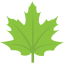 Leaf icon 64x64