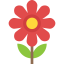 Flower icon 64x64