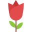 Tulip icon 64x64