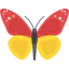 Butterfly icon 64x64