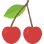 Cherry icon 64x64