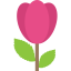 Tulip icon 64x64