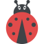 Ladybird icon 64x64