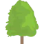 Tree icon 64x64