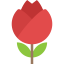 Tulip icon 64x64