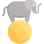 Elephant icon 64x64