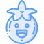 Tomato 图标 64x64