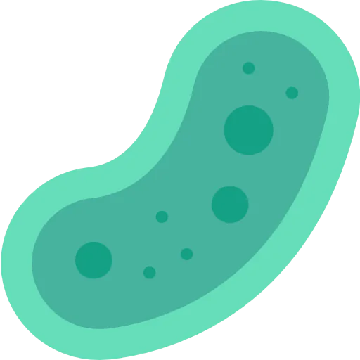Bacteria icon