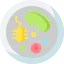 Bacteria icon 64x64