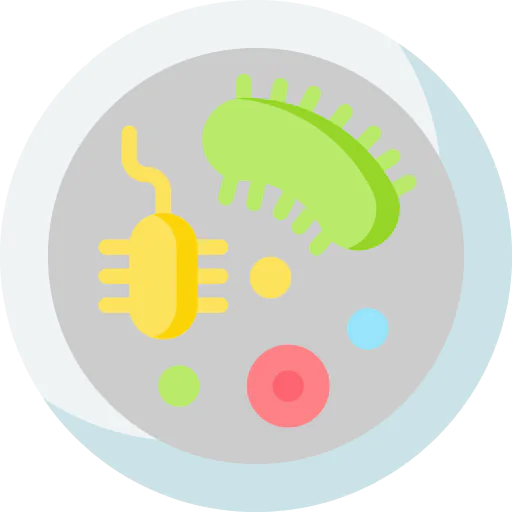 Bacteria icon