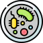 Bacteria icon 64x64