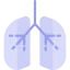 Lungs icon 64x64