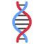 Dna ícono 64x64