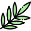 Leaf 图标 64x64