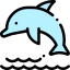 Dolphin 图标 64x64