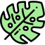 Leaf 图标 64x64