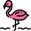 Flamingo 图标 64x64