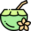 Coconut 图标 64x64