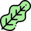 Leaf 图标 64x64