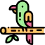 Parrot 图标 64x64