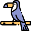 Toucan 图标 64x64