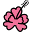 Hibiscus 图标 64x64