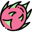 Dragon fruit icon 64x64