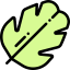 Leaf 图标 64x64