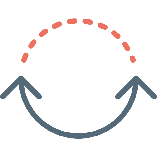 Circuit icon