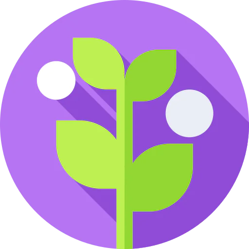 Branch icon