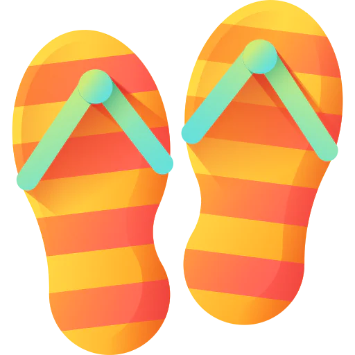 Flip flops icon
