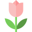 Rose icon 64x64