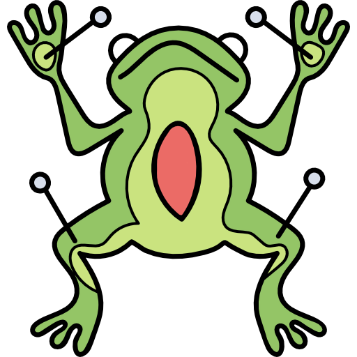 Frog icon